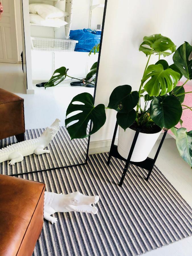 White Loft 알리칸테 외부 사진